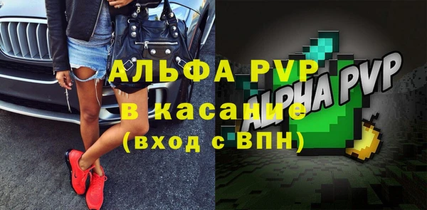 apvp Горняк