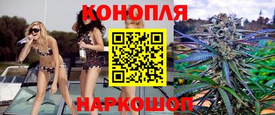 ALPHA PVP Камышлов